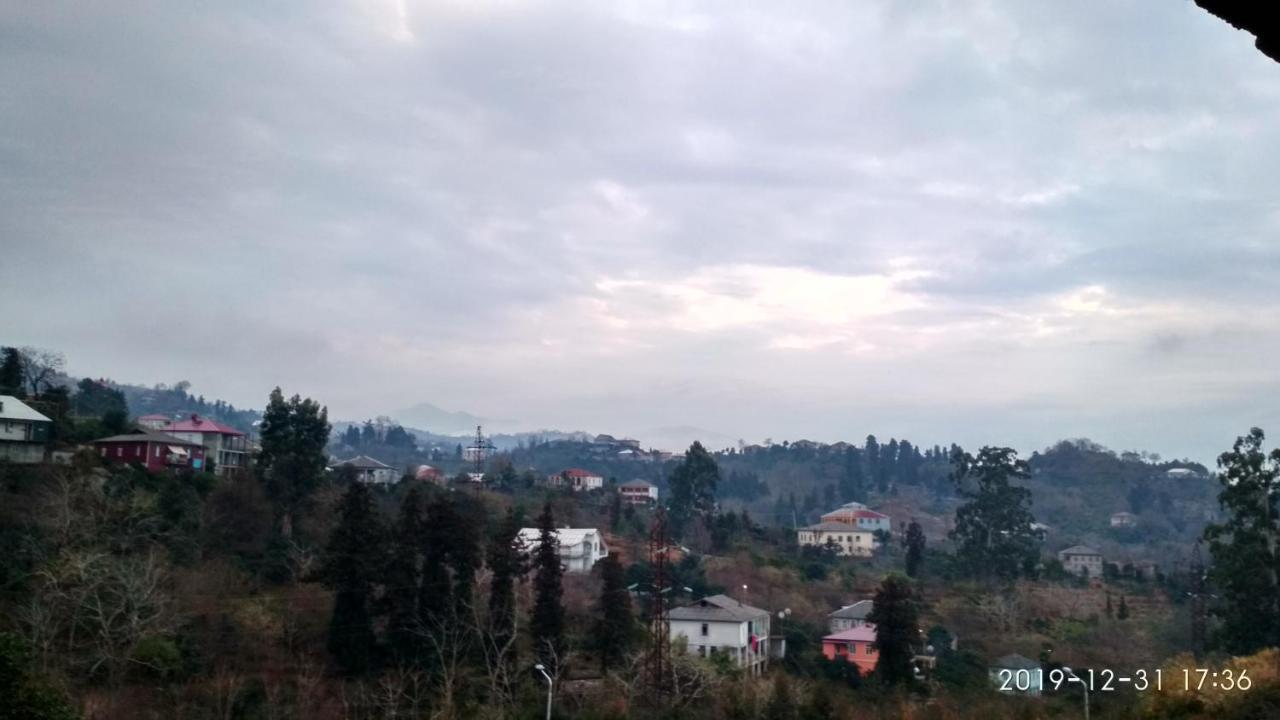 Olesya Guesthouse Mtsvane Konts'khi Exterior foto